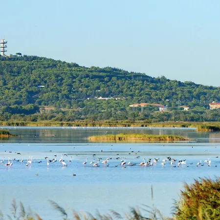 Le Sunset-cap Sud-7 By Interhome Apartment